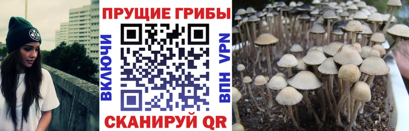 Галлюциногенные грибы прущие грибы  Уяр 